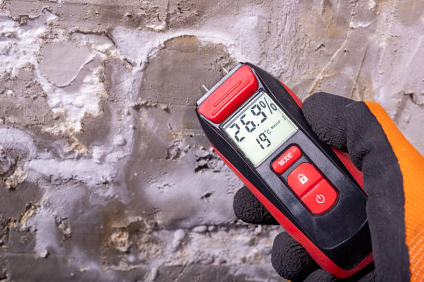 Best Mold Testing  in Lake Arrowhead, CA