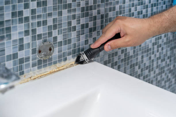 Best Same-Day Mold Removal  in Lake Arrowhead, CA