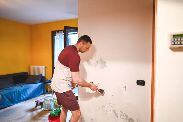 Best Mold Remediation  in Lake Arrowhead, CA